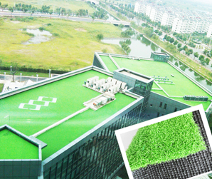 蘇州工業園區屋頂綠化